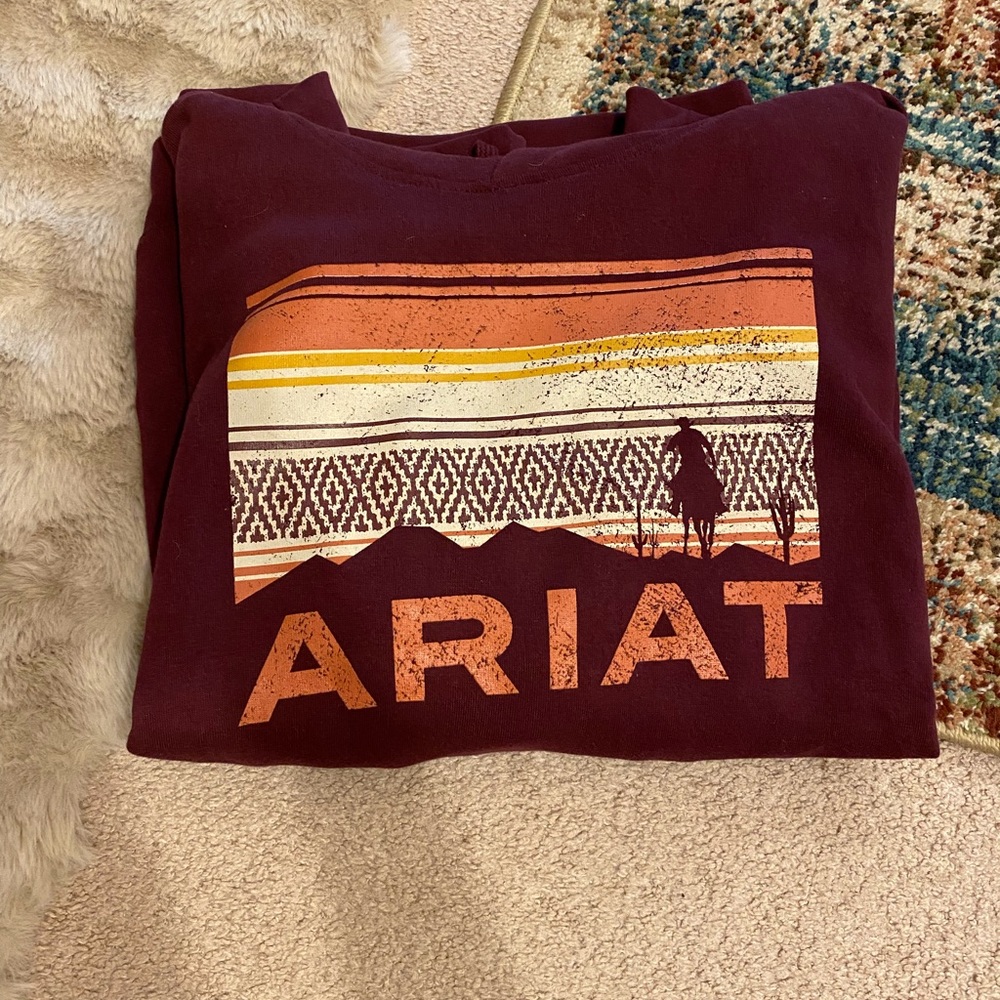 Mens Ariat Hoodie